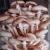Описание и места распространения гриба ложноопенка кирпично-красного