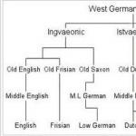 Germanska språk: historien om deras studier