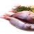 Sällsynt japansk fisk finns nu tillgänglig i Ryssland